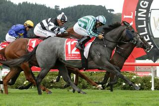 Karaka graduates dominated the Group 2 Norwood Family Wellington Guineas with a trifecta by Emily Margaret (NZ), Vigor Winner and Dawn Patrol (NZ). Photo: Trish Dunell